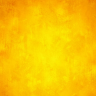 Dataline24